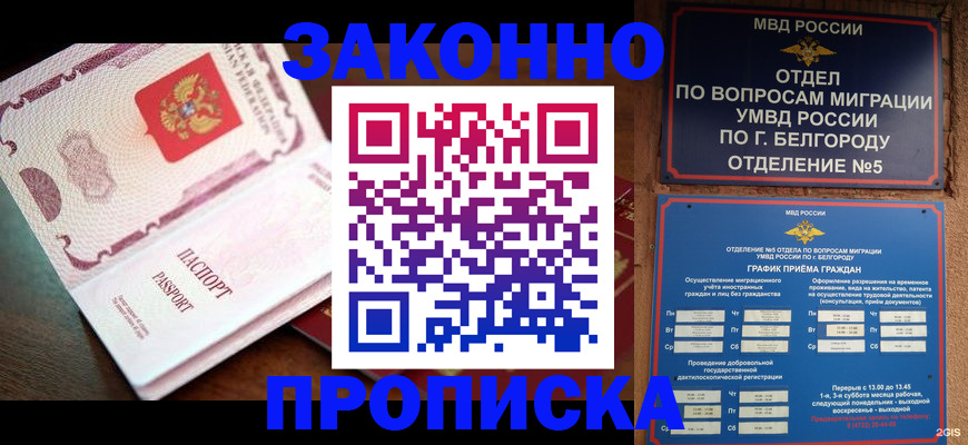 временная регистрация для школы в Сольцах